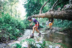 BIB: 
                            <button type="button" onclick="openModal(25435197)" class="btn btn-primary btn-sm float-right btn-popup" data-toggle="modal" data-target=".modal-high-quality">
                        <i class="fas fa-shopping-cart"></i> Add to Cart
                    </button>
                                            <button type="button" onclick="isThisMe(25435197, true)" class="btn btn-success btn-sm float-right btn-popup btn-isme hidden" data-toggle="tooltip" data-placement="bottom" title="นี่คือรูปของคุณใช่ไหม คลิกที่นี่เพื่อเอาเข้าอัลบั้ม">
                        <i class="fas fa-plus"></i> Add to album
                    </button>
                    <button type="button" onclick="isThisMe(25435197, false)" class="btn btn-warning btn-sm float-right btn-popup btn-isnotme hidden">
                        <i class="fas fa-ban"></i> Remove from album
                    </button>